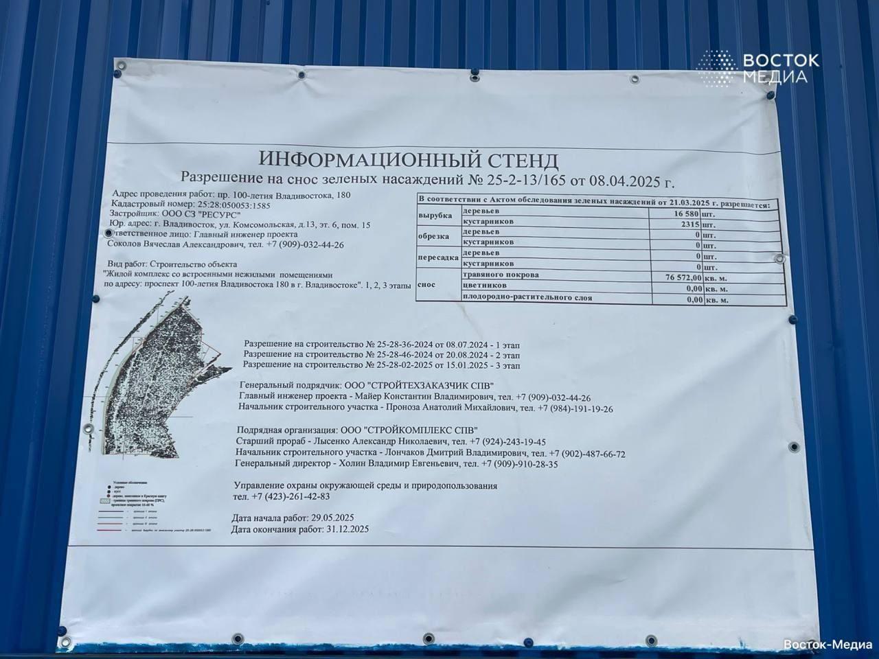🌳 16 тысяч деревьев вырубят ради нового ЖК во Владивостоке