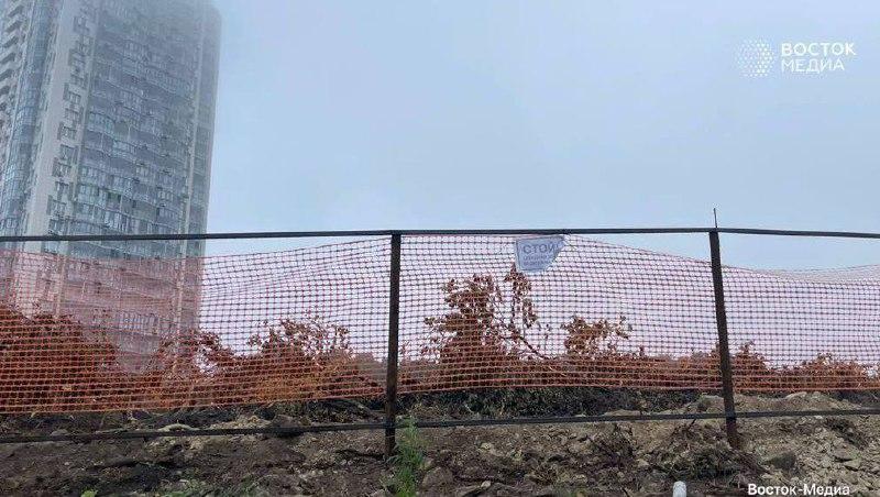 🌳 16 тысяч деревьев вырубят ради нового ЖК во Владивостоке