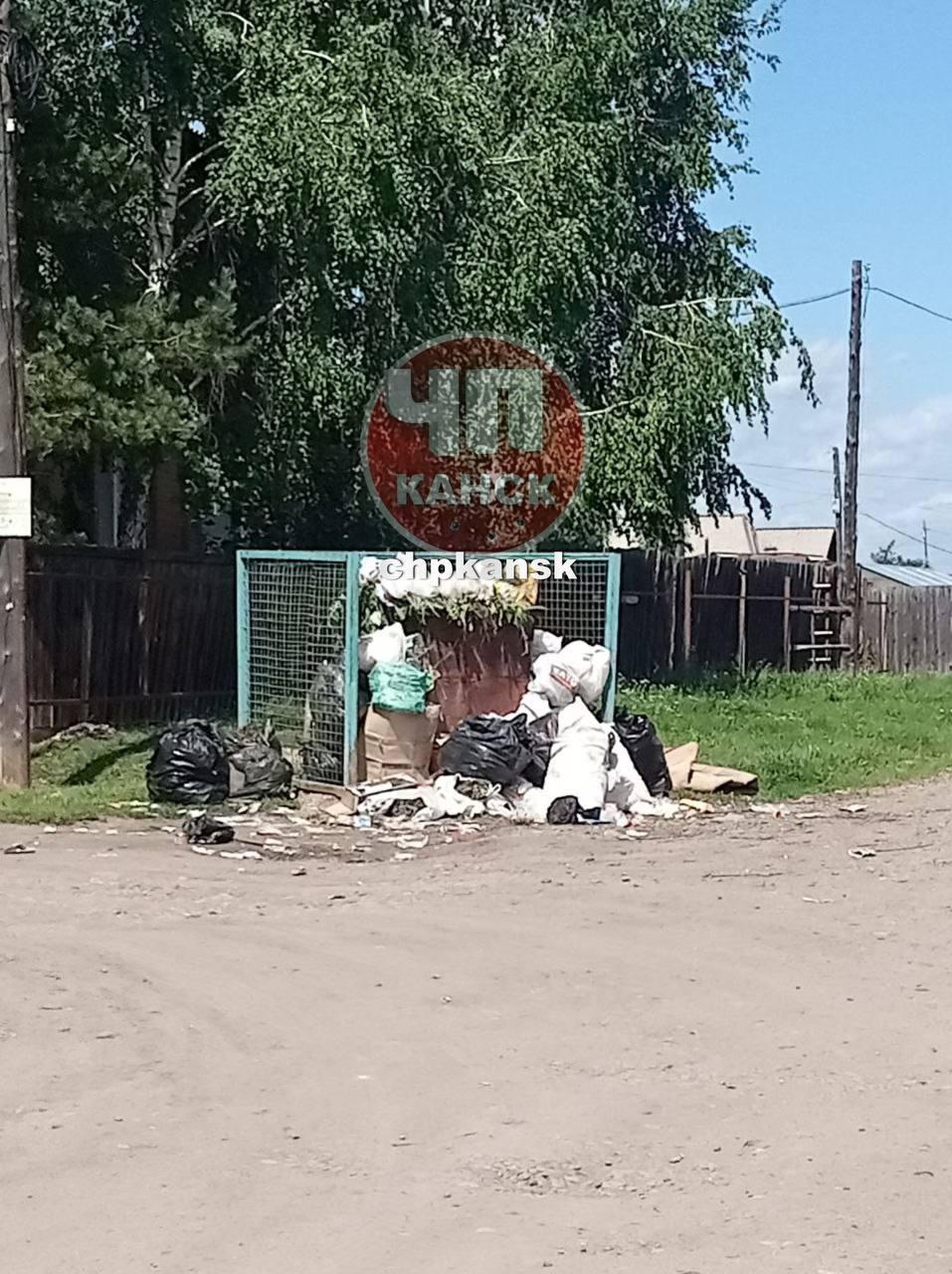 От читателя: На ул. Чкалова невозможно вынести мусор, потому что всегда...