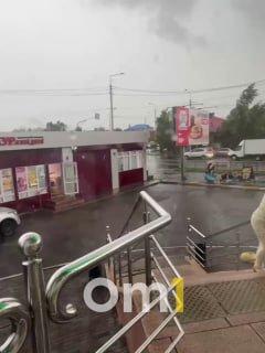В Омске балкон упал прямо на местную жительницу