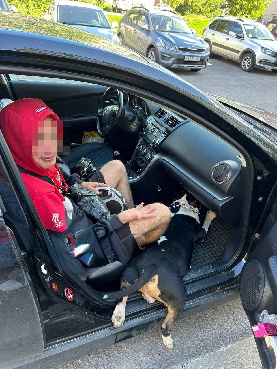 Ветеран СВО терроризирует бывшую девушку в Череповце