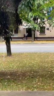 Момент задержания второго нападавшего в Нальчике