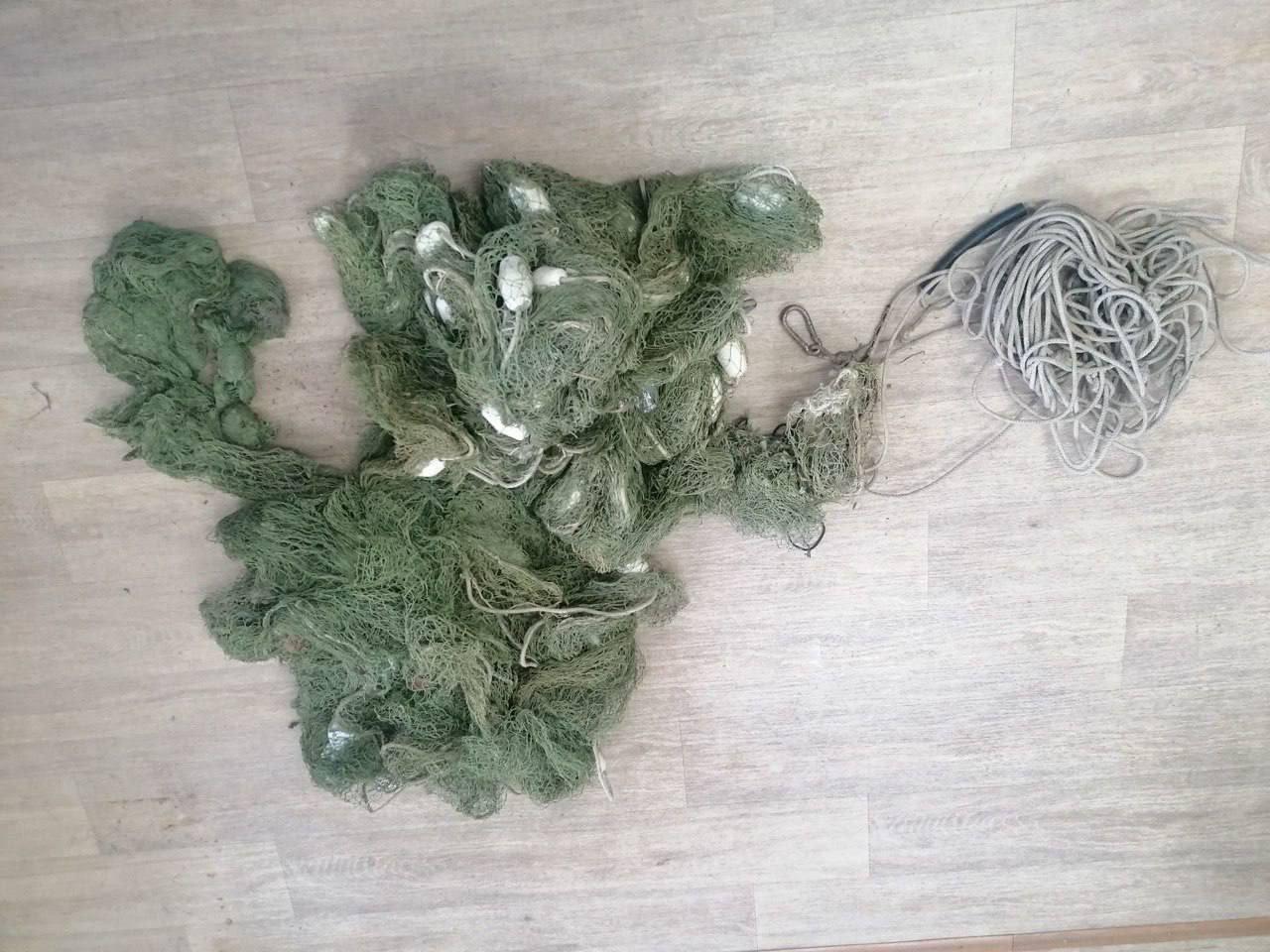 Трое в лодке и счастливый осетр🐟