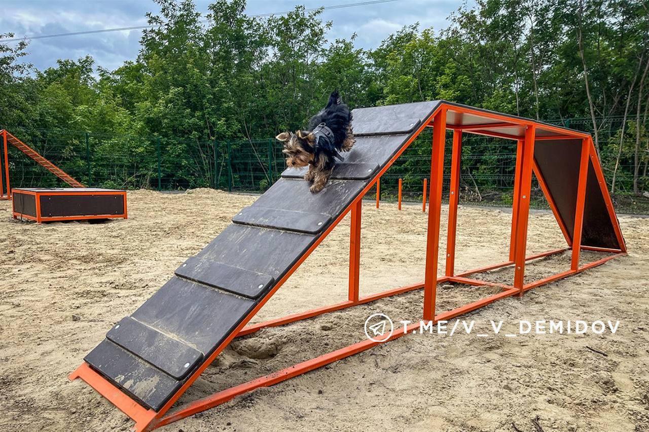 🐕В Белгороде появились ещё две площадки для выгула собак
