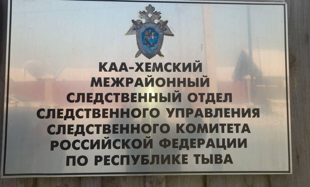 Местная жительница предстанет перед судом за причинение по неосторожности...
