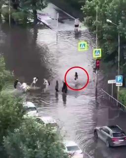 В Тюмени девушка, чуть не утонула на пешеходном переходе