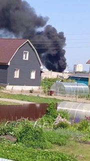 Под Сосновоборском огонь охватил популярную базу отдыха «Медвежья берлога». В...