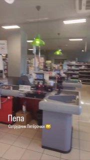 В подмосковной «Пятёрочке» нашли идеального сотрудника — кота по имени Пепа.