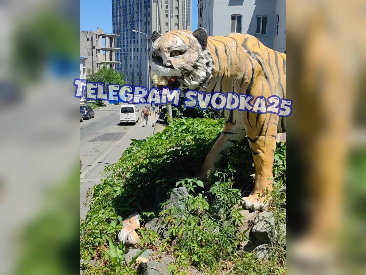 🗣Во Владивостоке на Тигровой отбитый вандал беспричинно снес голову статуе...