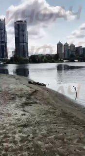 «Емае! Всплывай давай!» На киевском пляже парень решил прыгнуть с моста в...