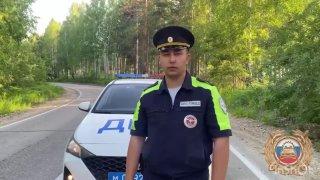 Водитель погиб, врезавшись в дерево, в Ангарске