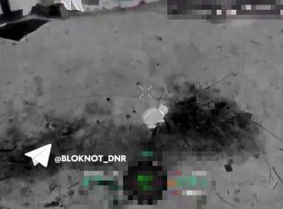 Боевая работа фронтового кота попала на видео российских дроноводов в зоне СВО