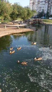 Жители города пожаловались на состояние парка 400-летия Красноярска. «Так и...