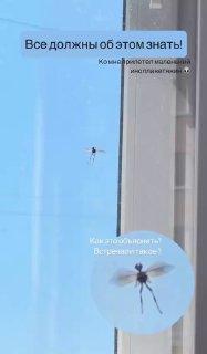 В российских соцсетях бурно обсуждают видео со «Стрекозоидом»