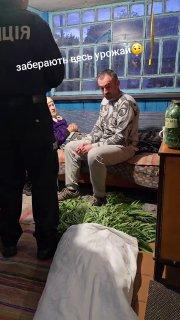 В Киеве мужик посадил помидоры, а выросли наркотики.