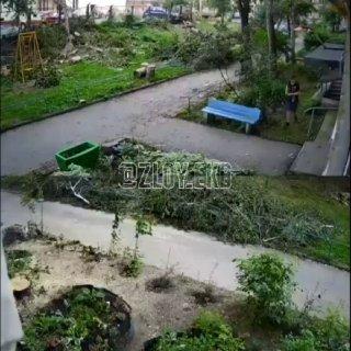 Местные медиа пишут, что в Екатеринбурге подростки разбили стекло в жилом...