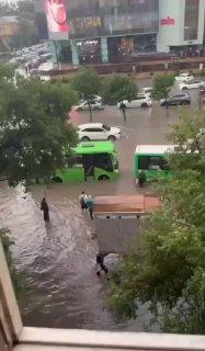 В Тюмени пенсионера не впустили в автобус во время потопа из-за ливня. Власти разбираются в ситуации, но не исключают, что водители просто не заметили пожилого человека.