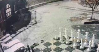 Медведи увлеклись шахматыами на острове Итуруп