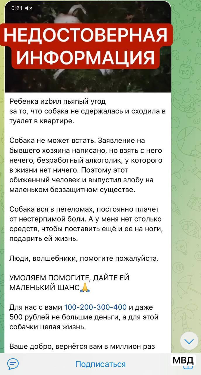 Фейк об избиении собаки распространяют в Иркутской области В пресс-службе...