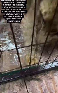 «Я вам ёб твою мать, я вам кишки наружу выпущу если увижу вас»