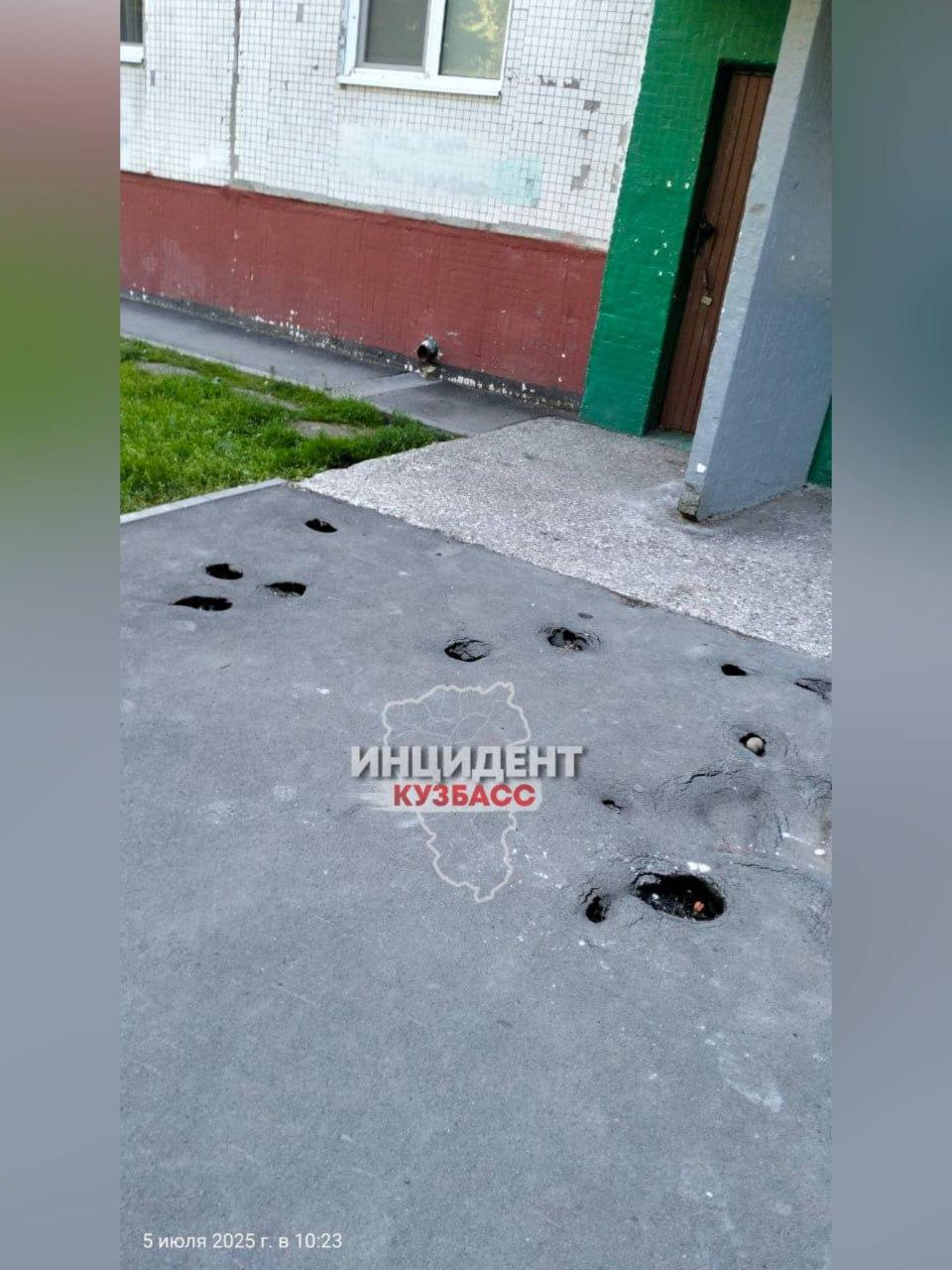 Крысы съели асфальт у кемеровчан… по крайней мере, так считает одна из управляющих компаний.