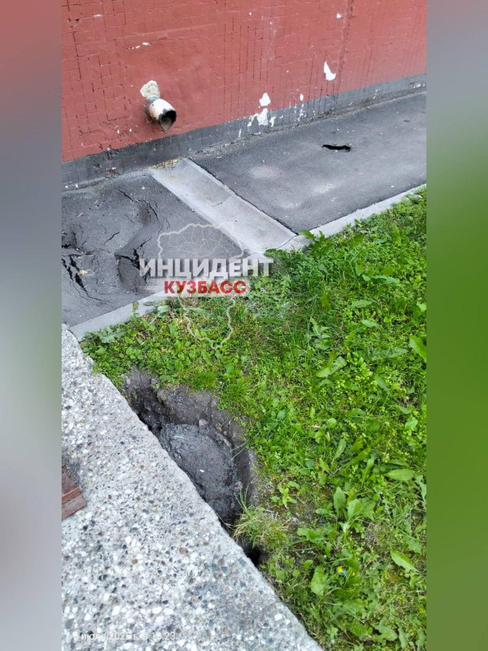 Крысы съели асфальт у кемеровчан… по крайней мере, так считает одна из управляющих компаний.