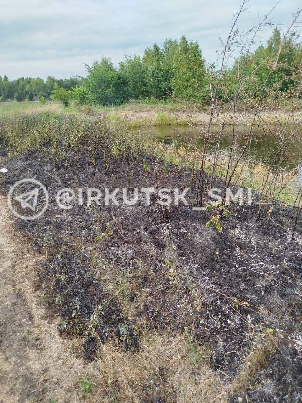 Пожар устроил неизвестный на острове Конном