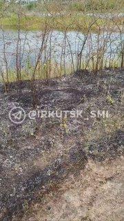Пожар устроил неизвестный на острове Конном