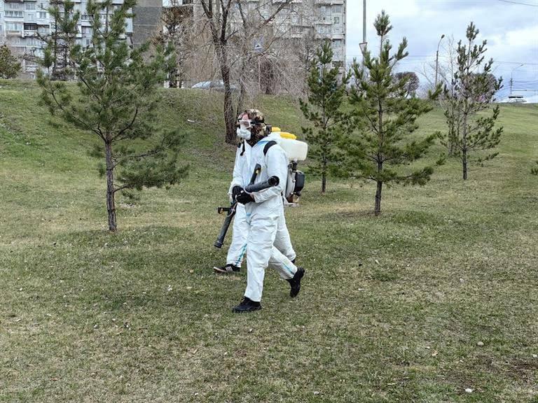В Красноярске от клещей обработали более 400га территории 🌇 Источник: ЧП...