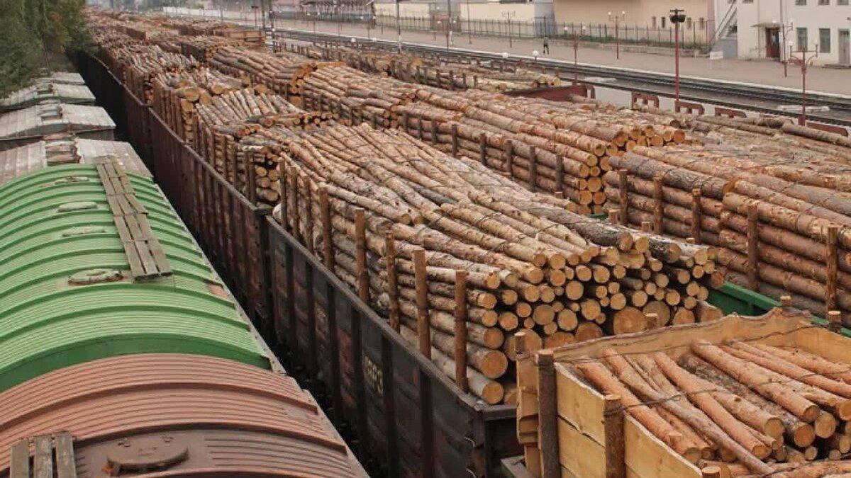 Китаю досталось почти 80% экспортируемого из Кузбасса леса. За первое...