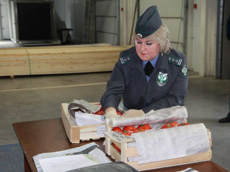 🍅 В Красноярский край предотвращен ввоз 20 тонн зараженных томатов из...
