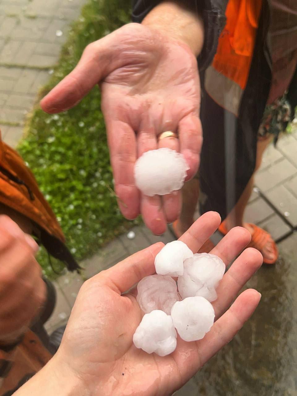 В Подмосковье из-за падения дерева во время грозы пострадал ребенок.