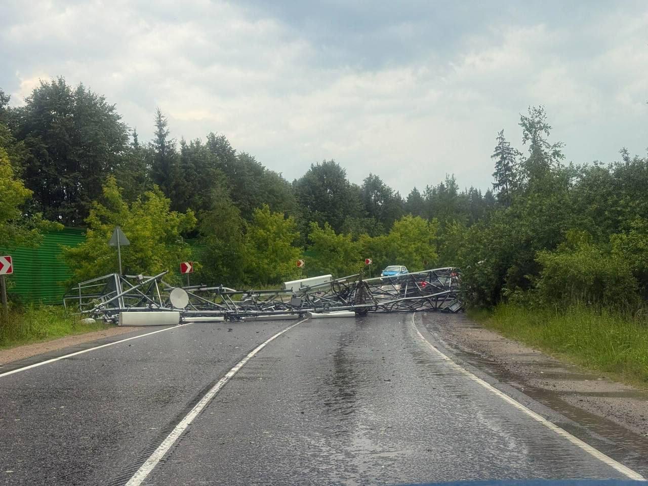 В Подмосковье из-за падения дерева во время грозы пострадал ребенок.
