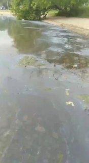 Видео с неприятным запахом