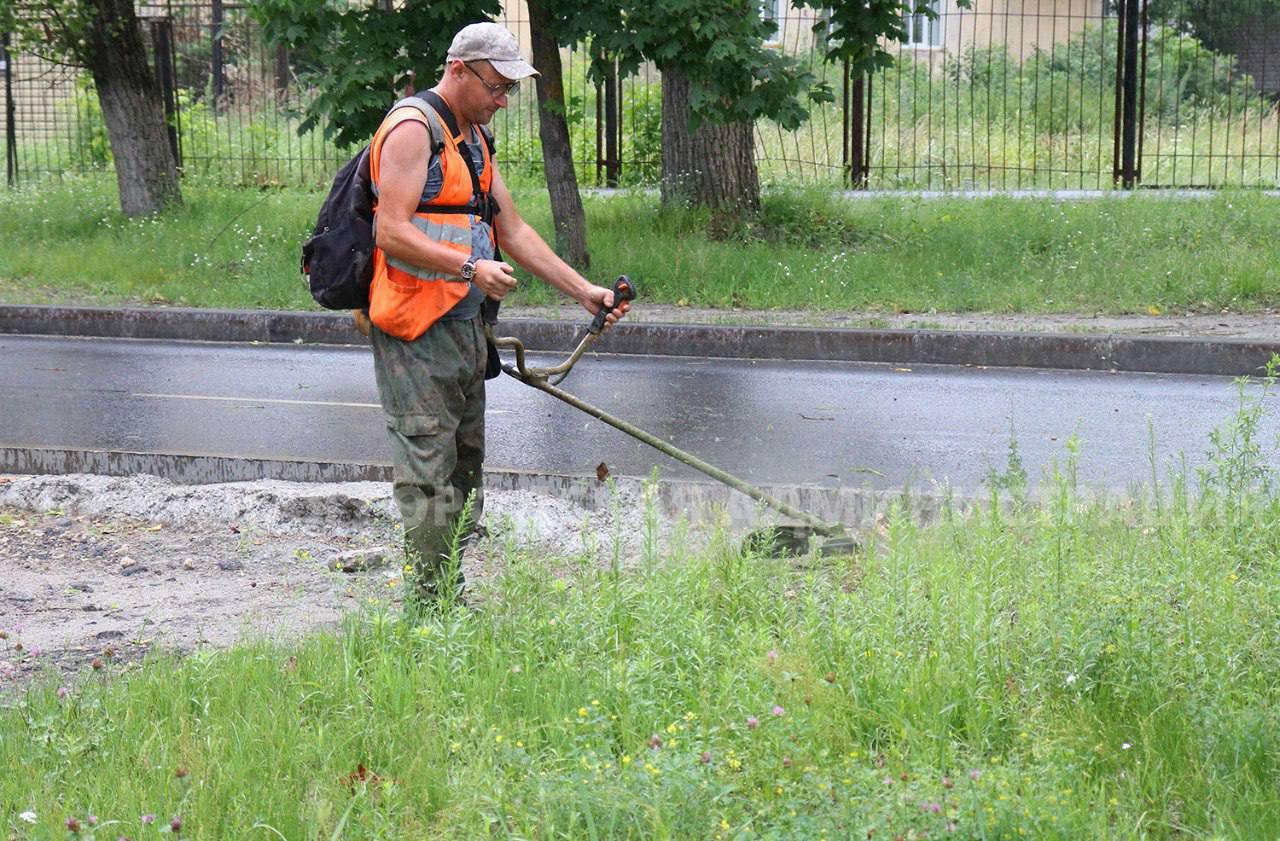 За сутки в Брянске выкосили 90 тысяч кв. метров газонов и дорожных обочин