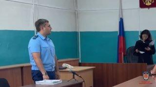 В Красноярском крае лесничего и его подельника осудили за незаконную вырубку...