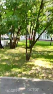 «Ты зачем оставил женщину с умирающей собакой?» Женщина с коляской устроила...