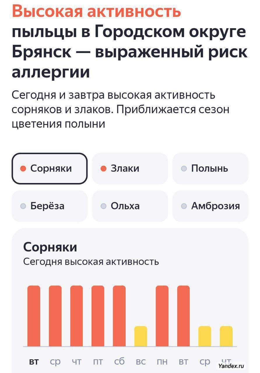 Индикатор пыльцы злаковых и сорняков зашкаливает в Брянске