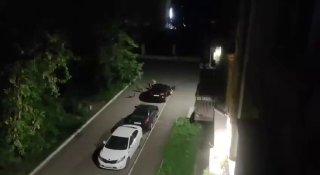 В Новокузнецке на улице Ушинского стая собак загнала кошку под машину и...