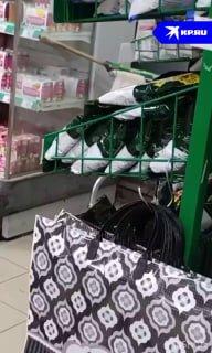 Десятки крыс заметили петербуржцы в одном из продуктовых магазинов на...