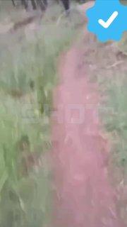 «Это Родина моя! Всех люблю на свете я!»: бойцы ВС РФ эвакуировали раннего товарища, читая ему стихи из «Брата»