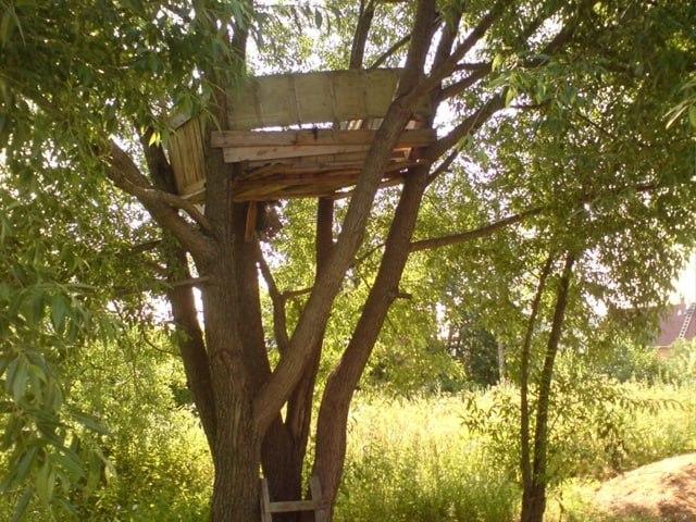 В Искитимском районе Новосибирской области подросток напоролся бедром на гвоздь и повис на дереве