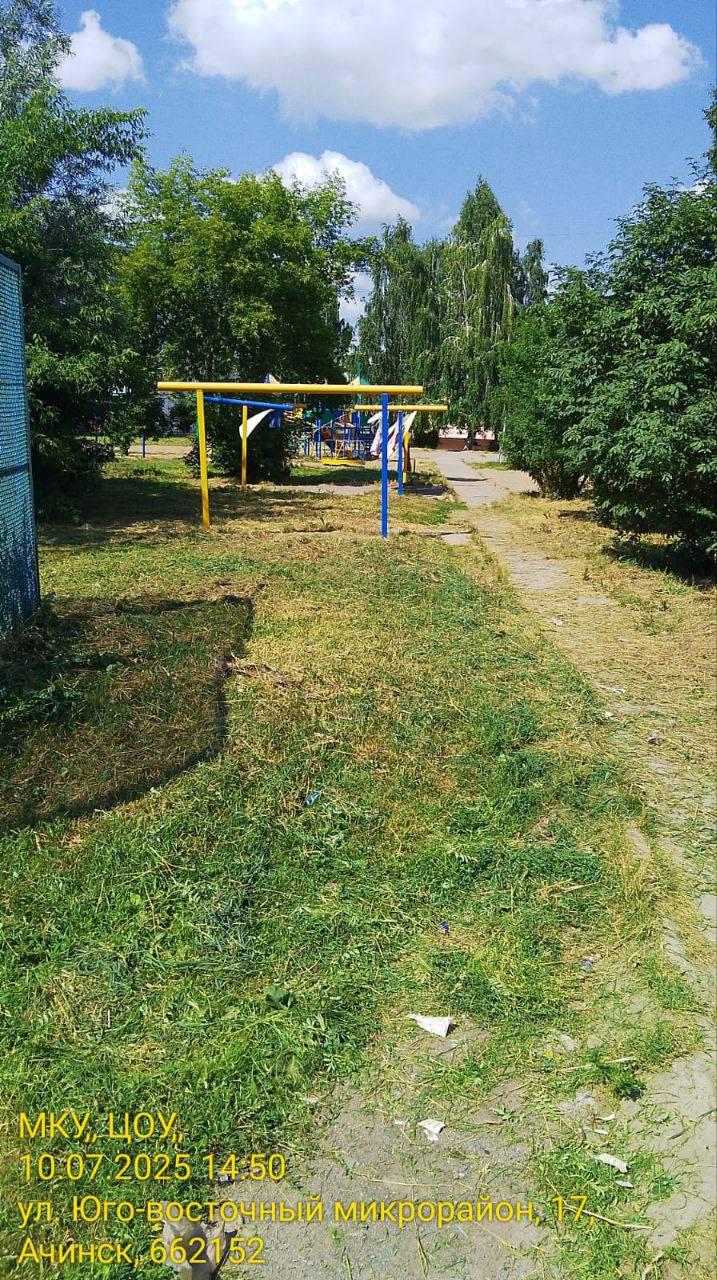 Борьба с растительностью Никто не спорит, что Ачинск в этом году зарос...