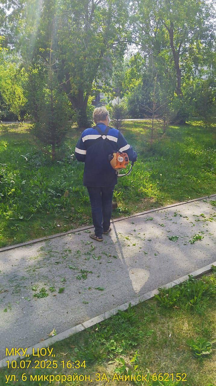 Борьба с растительностью Никто не спорит, что Ачинск в этом году зарос...