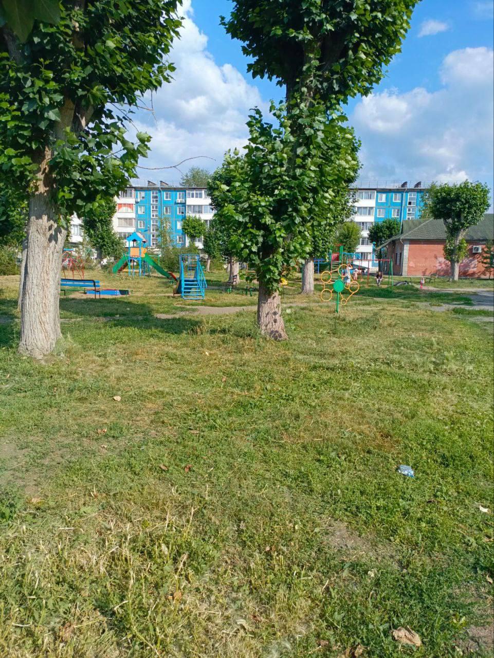 Борьба с растительностью Никто не спорит, что Ачинск в этом году зарос...