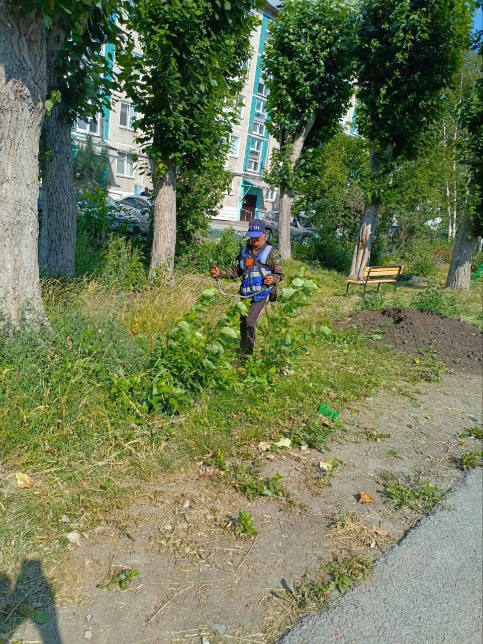 Борьба с растительностью Никто не спорит, что Ачинск в этом году зарос...