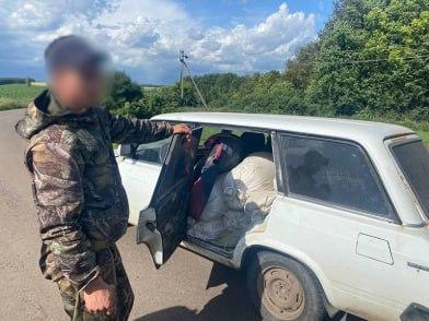 В Белгороде задержали вора, укравшего полтонны корма