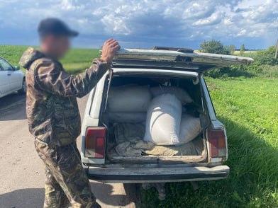 В Белгороде задержали вора, укравшего полтонны корма
