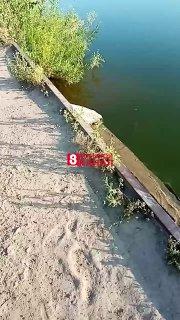 Красноярцы просят установить решетку на одном из городских водоемов
