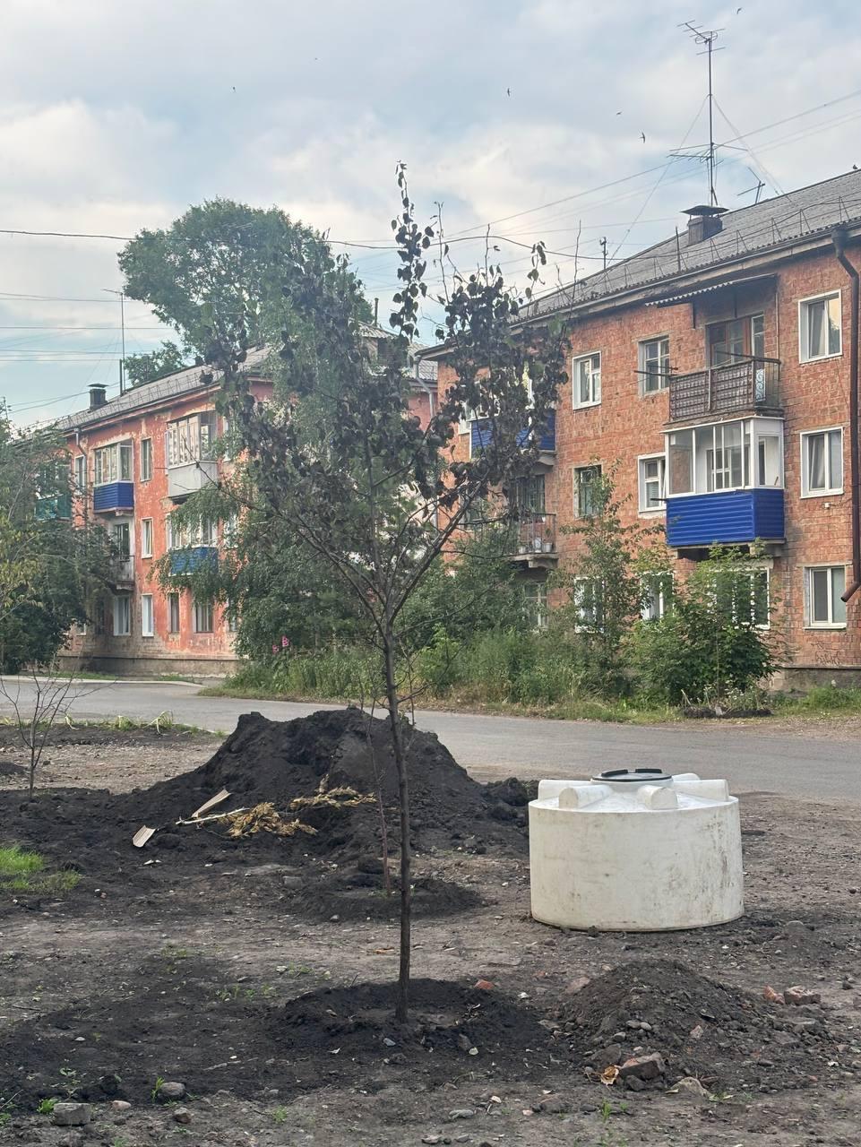 На аллее Юбилейная засыхают деревья и цветы, которые были высажены совсем...